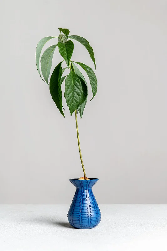 Avocado Planter | Morocco Blue with Blue Ladder Stripes