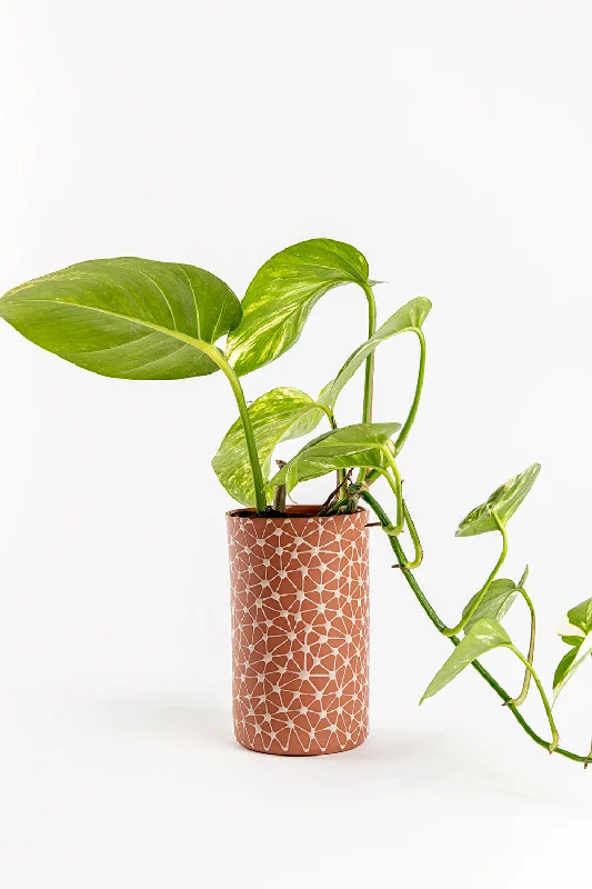 Cylinder Vase | brick with Beige Stars