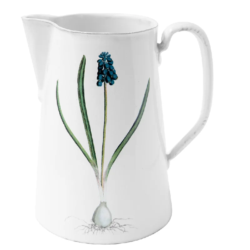 Muscari Pitcher