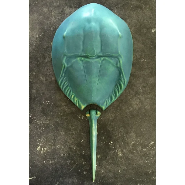 Horseshoe Crab - Caribbean Blue - Large