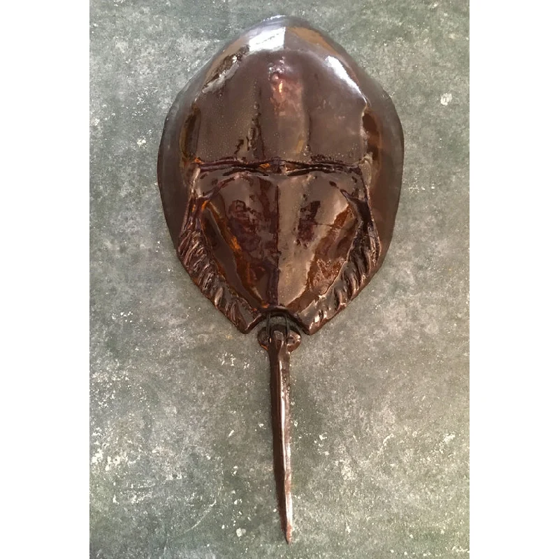 Horseshoe Crab - Chestnut - Large