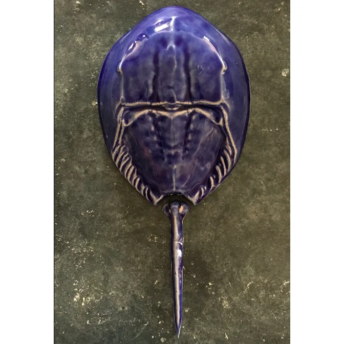 Horseshoe Crab - Cobalt Blue - Large