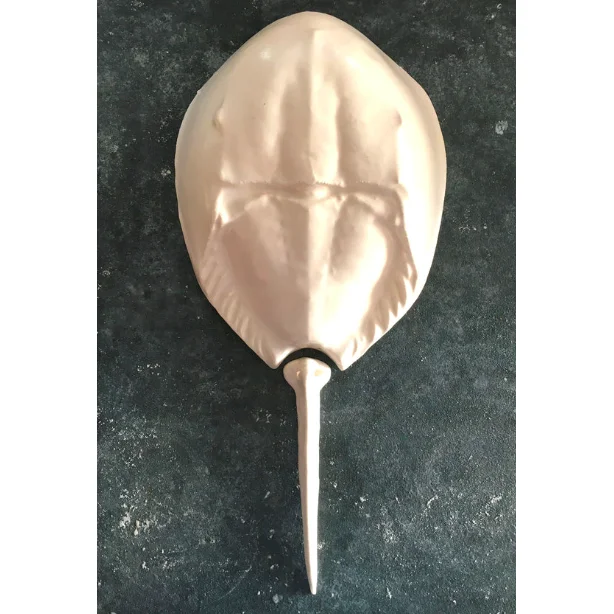 Horseshoe Crab - White - Large