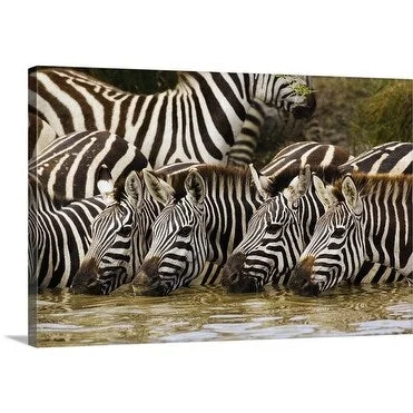 Ariadne van Zandbergen Premium Thick-Wrap Canvas entitled Zebras, Serengeti National Park, Tanzania, Africa