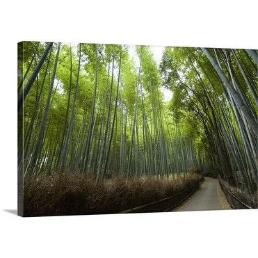 Christopher Groenhout Premium Thick-Wrap Canvas entitled Bamboo Trees, Kyoto, Kinki, Japan, North-East Asia