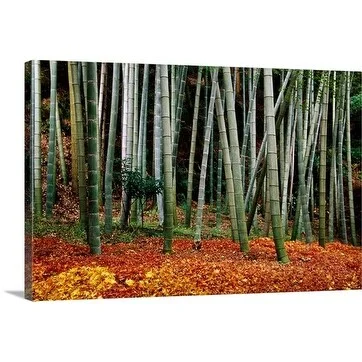 Frank Carter Premium Thick-Wrap Canvas entitled Bamboo, Kyoto, Kinki, Japan, North-East Asia