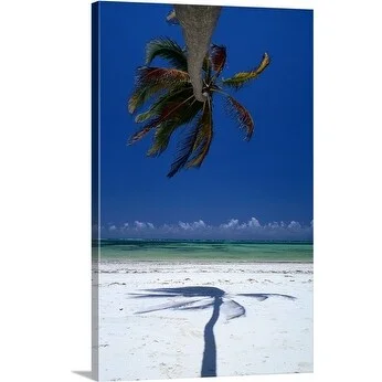 Greg Elms Premium Thick-Wrap Canvas entitled Palm tree on beach, Tanzania, Africa