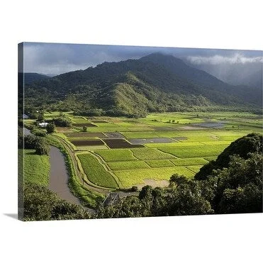 John Elk Premium Thick-Wrap Canvas entitled Lush landscape, Kauai, Hawaii