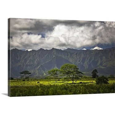 Merten Snijders Premium Thick-Wrap Canvas entitled Cloudy mountain, Kauai, Lihue, Hawaii, United States