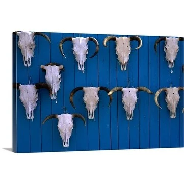 Peter Hendrie Premium Thick-Wrap Canvas entitled Cattle skulls, New Mexico, USA