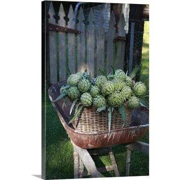 Premium Thick-Wrap Canvas entitled Basket of organic Globe Artichokes in a wheelbarrow.