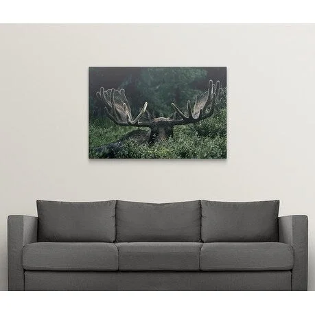 Premium Thick-Wrap Canvas entitled Bull moose eyes and antlers