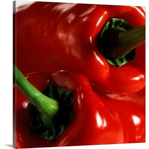 Premium Thick-Wrap Canvas entitled Capsicum (sweet pepper) close up of two red peppers