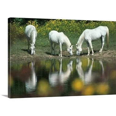 Premium Thick-Wrap Canvas entitled Chincoteague wild ponies, VA