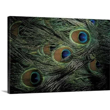 Premium Thick-Wrap Canvas entitled Close-up of peacock's plumage, Canary Islands, Spain