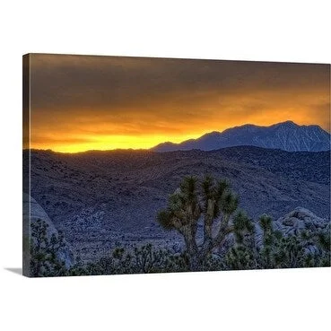 Premium Thick-Wrap Canvas entitled Colorful sunset, Joshua Tree National Park, California, USA, May 2008