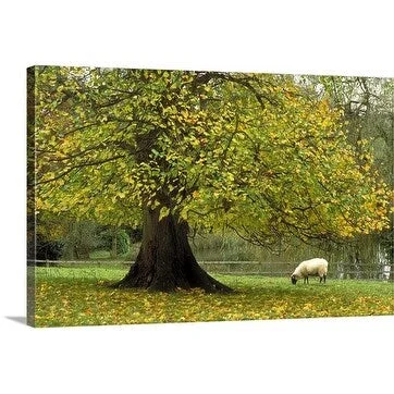 Premium Thick-Wrap Canvas entitled Cotswolds, Lower Slaughter, Gloucestershire, England.