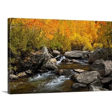 Premium Thick-Wrap Canvas entitled Fall colors along the South Fork of Bishop Creek, California, USA, October 2010