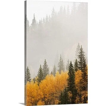 Premium Thick-Wrap Canvas entitled Fog and rain in the Upper Dolores River Valley, Uncompahgre National Forest,