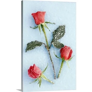 Premium Thick-Wrap Canvas entitled Frosted Roses