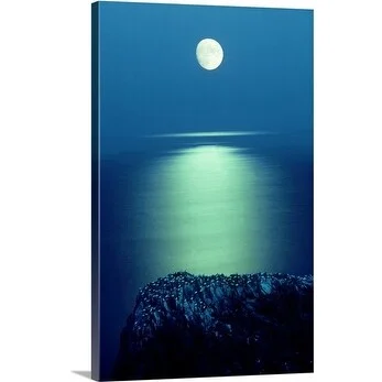 Premium Thick-Wrap Canvas entitled Gannet colony on makestone rock in evening moonlight, Wexford county, Ireland