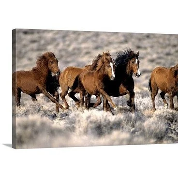 Premium Thick-Wrap Canvas entitled Herd of wild horses running free in desert, Nevada, USA