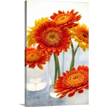 Premium Thick-Wrap Canvas entitled Orange and yellow Gerbera in glass vases against a white background