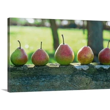 Premium Thick-Wrap Canvas entitled Perry pears on wood in orchard