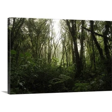 Premium Thick-Wrap Canvas entitled Rainforest on Arenal volcano, Arenal Volcano National Park, Costa Rica