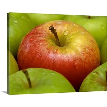 Premium Thick-Wrap Canvas entitled Red and green apples (Malus Gala and Granny Smith)