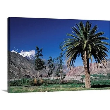 Premium Thick-Wrap Canvas entitled Rio Abajo valley below La Paz with Palmtree. Mount Ilimani in background, Bolivia