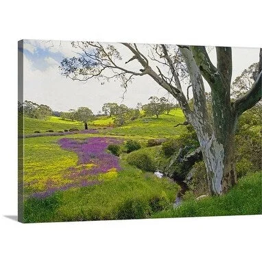 Premium Thick-Wrap Canvas entitled River Red Gum near Strathalbyn, South Australia