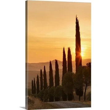 Premium Thick-Wrap Canvas entitled Road lined with cypress trees at sunrise, Tuscany