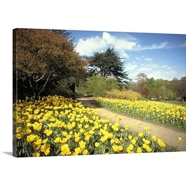 Premium Thick-Wrap Canvas entitled Roath park, Cardiff, South Glamorgan, Wales.