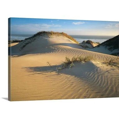 Premium Thick-Wrap Canvas entitled Sand dunes at Gunyah Beach in Coffin Bay National Park, Eyre Peninsula, South