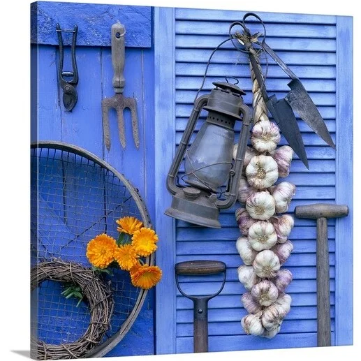 Premium Thick-Wrap Canvas entitled String of garlic and lantern hanging from blue wooden shed with English Marigold