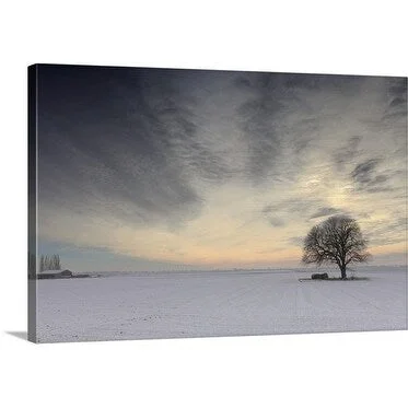 Premium Thick-Wrap Canvas entitled Winter Trees in ther Fens area of England