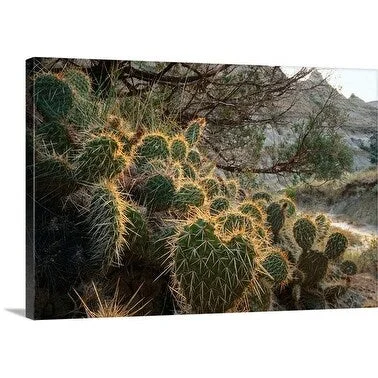 Rob Blakers Premium Thick-Wrap Canvas entitled Close-up of cacti