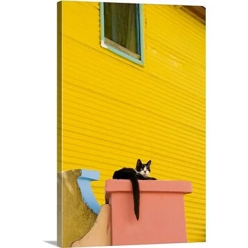 Roberto Gerometta Premium Thick-Wrap Canvas entitled Alley cat, Buenos Aires, Argentina