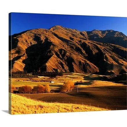 Ross Barnett Premium Thick-Wrap Canvas entitled Golden landscape with a mountain in the distance, South Island, New