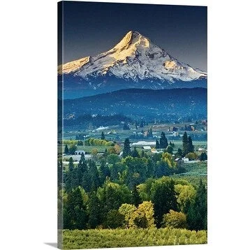 Witold Skrypczak Premium Thick-Wrap Canvas entitled Snow capped mountain with trees, Hood River, Oregon